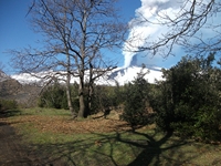 anobello-04032012 007